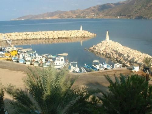 صورة الفندق 7