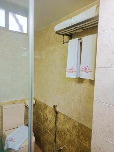 صورة الفندق 14