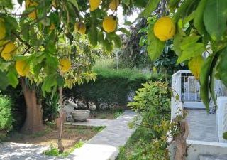 Фото отеля Elpida Lemon Garden House