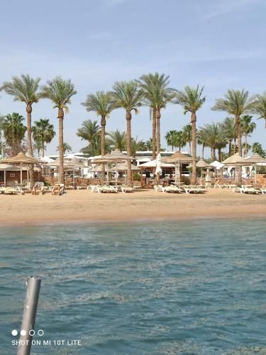 Seti Sharm Palm Beach Resort Families and couples only