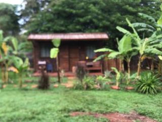 Hotel pic Los Bananos - Tiny Wood Cabin