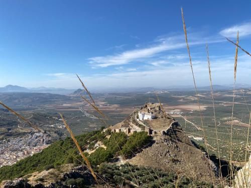 صورة الفندق 8