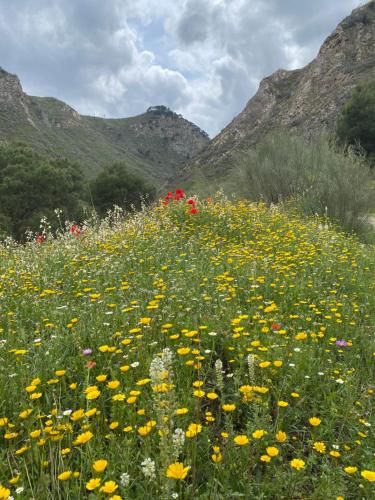 صورة الفندق 10