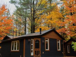 Фото отеля The Doma Lodge - Cozy Muskoka Cabin in the Woods