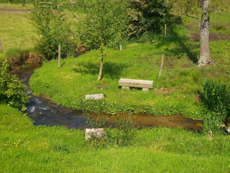 صورة الفندق 15