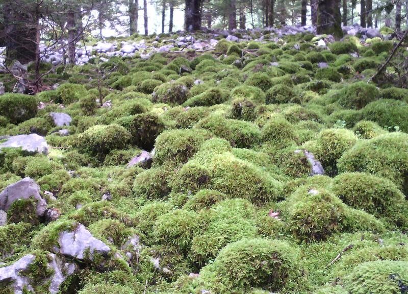 صورة الفندق 6