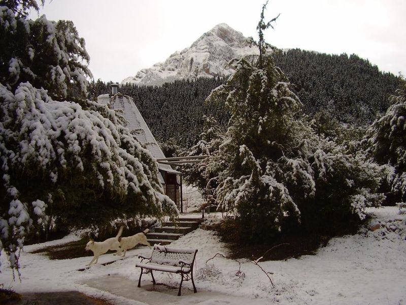 صورة الفندق 9