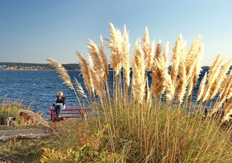 صورة الفندق 15