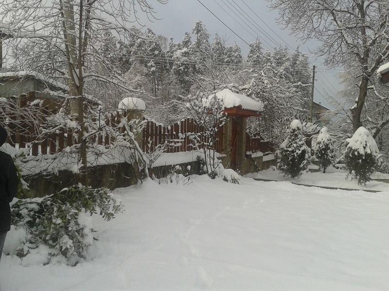 صورة الفندق 17