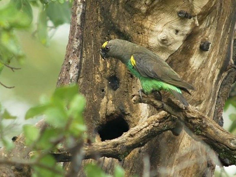 صورة الفندق 12