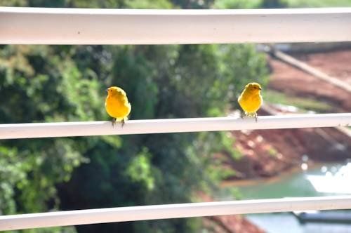 صورة الفندق 14
