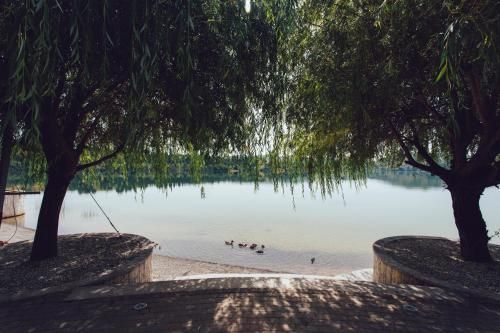 صورة الفندق 22