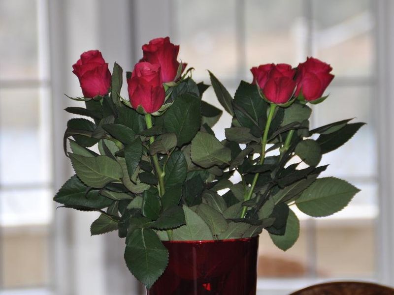 صورة الفندق 16