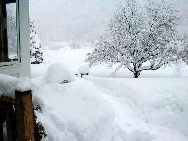 صورة الفندق 16