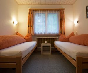 Chalet Soldanella Grachen Switzerland