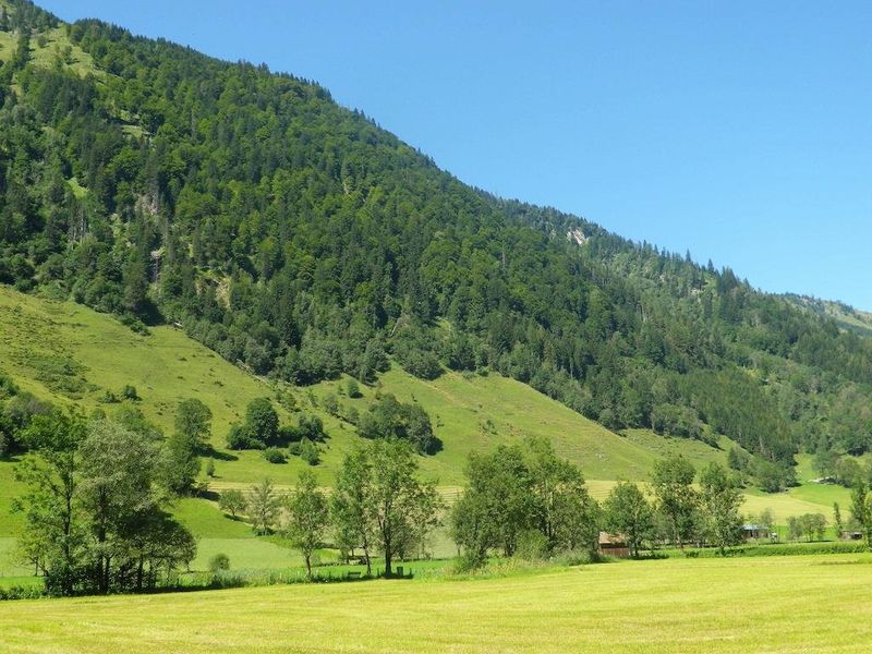 صورة الفندق 18