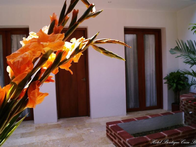 صورة الفندق 18