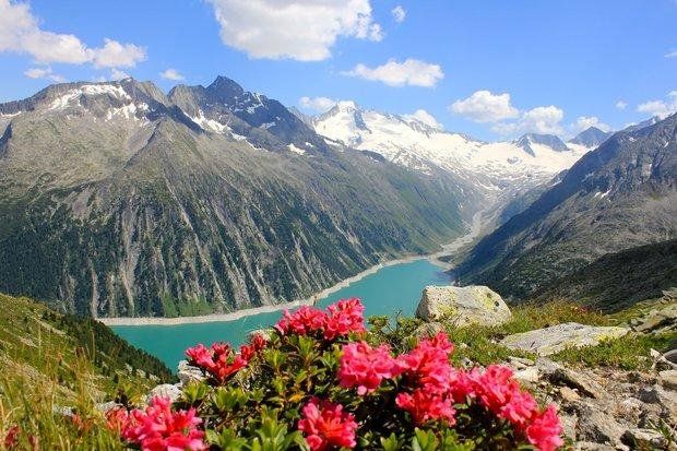 صورة الفندق 10
