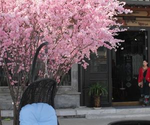 Datong Yunzhong Traditional Courtyard Datong China