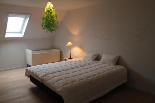 صورة الفندق 6