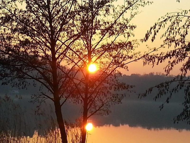 صورة الفندق 17