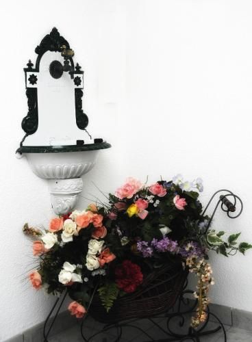 صورة الفندق 14