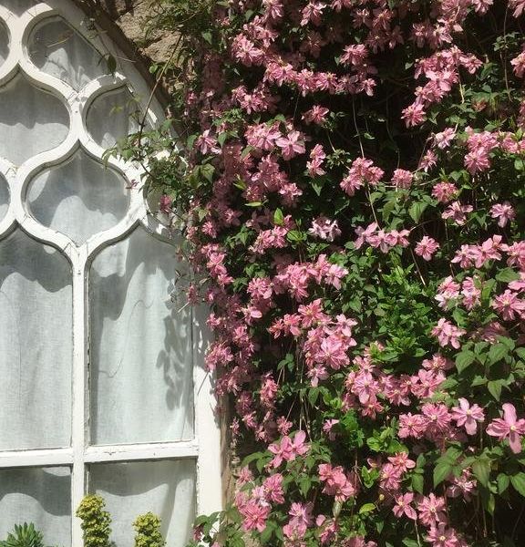 صورة الفندق 20