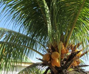 GOSIER LES PIEDS DANS L??EAU GOSIER Guadeloupe