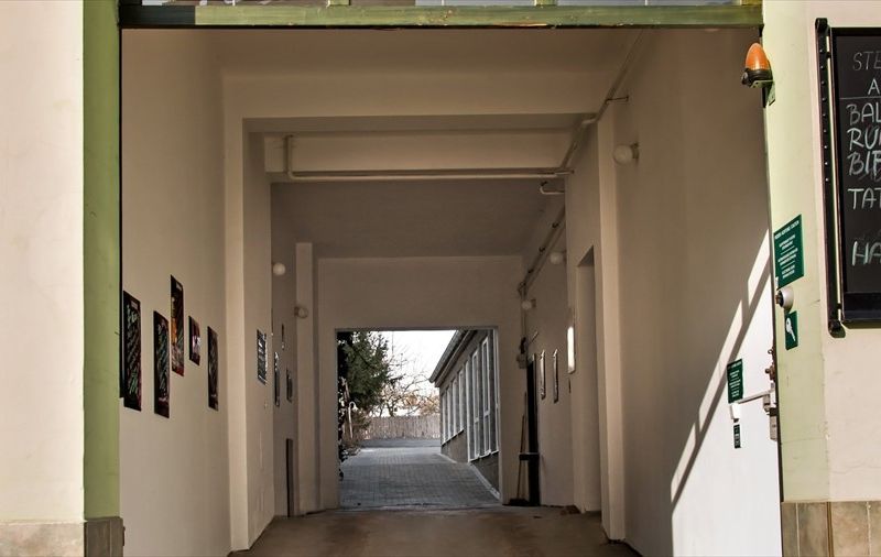 صورة الفندق 16