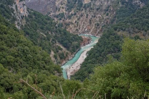 صورة الفندق 19