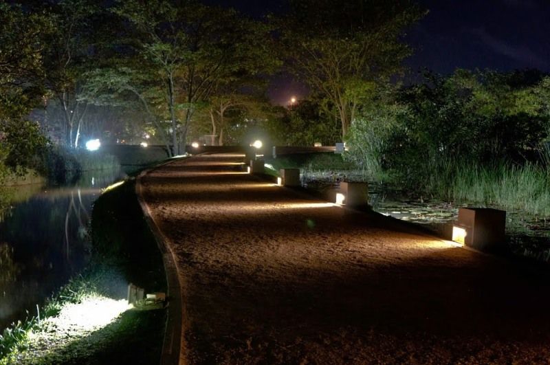 صورة الفندق 20