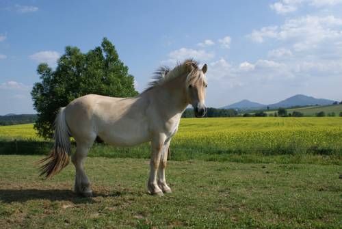 صورة الفندق 20