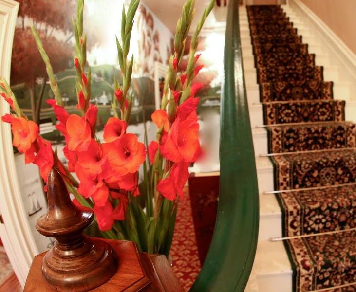 صورة الفندق 18