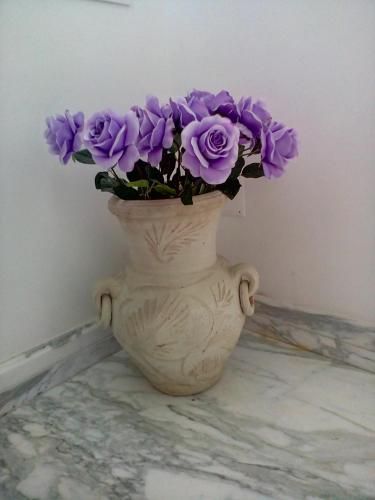 صورة الفندق 8