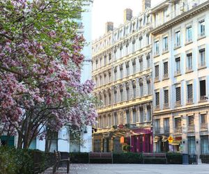 Hotel des Celestins Lyon France