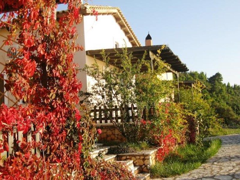 صورة الفندق 1