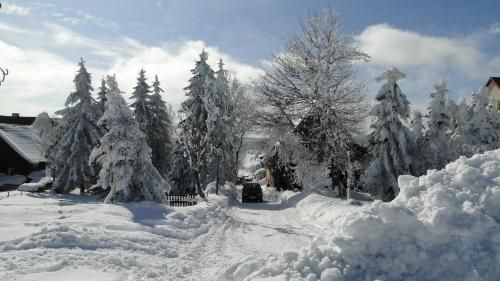 صورة الفندق 16
