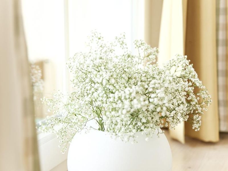 صورة الفندق 20