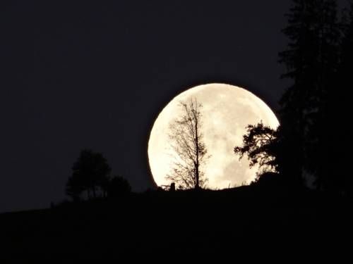 صورة الفندق 21