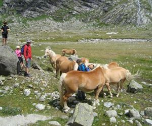 Ferienwohnung Gertraud und Peter Geisler Finkenberg Austria