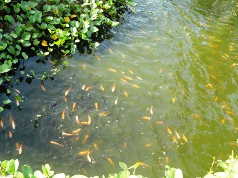 صورة الفندق 10