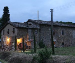 SAN LEOLINO SOCIETÀ AGRICOLA Bucine Italy