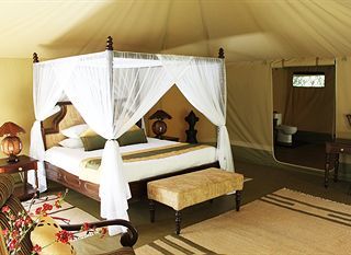 Фото отеля Mara Ngenche Safari Camp - Maasai Mara National Reserve