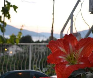 OAZA MIRA Tivat Montenegro