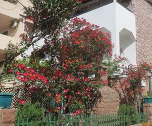 Apartments Vuković Petrovac Montenegro