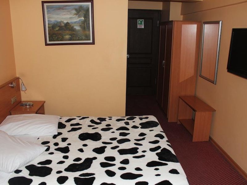 Hotel Photo 8