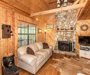 Bearadise Retreat Cabin Ellijay United States
