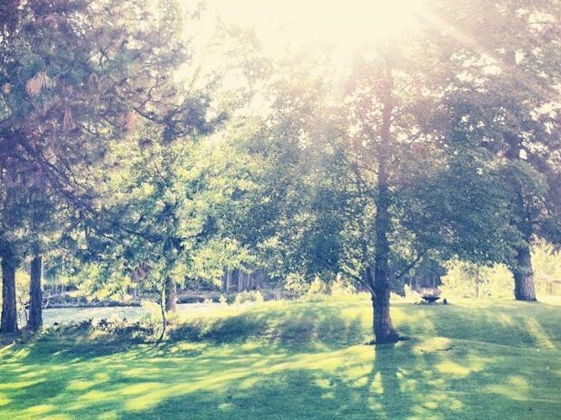صورة الفندق 21