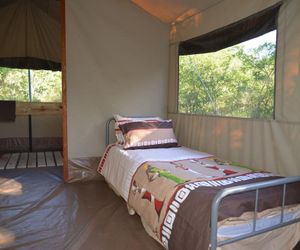 The Wild Olive Tree Camp Manyeleti South Africa