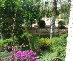 Villa Alexandra Chloraka Cyprus